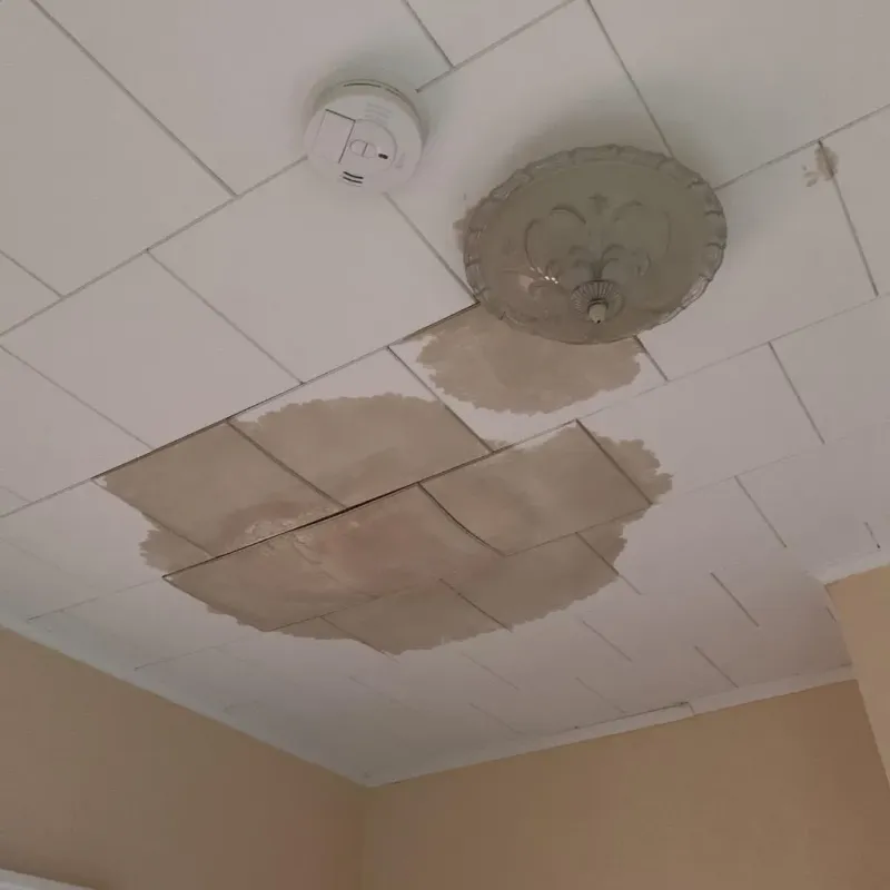 Ceiling Water Damage Repair in Beresford, SD