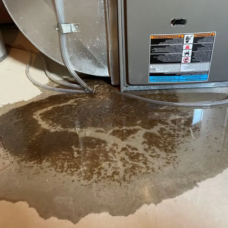 Pipe Burst and Leak Restoration in Beresford, SD